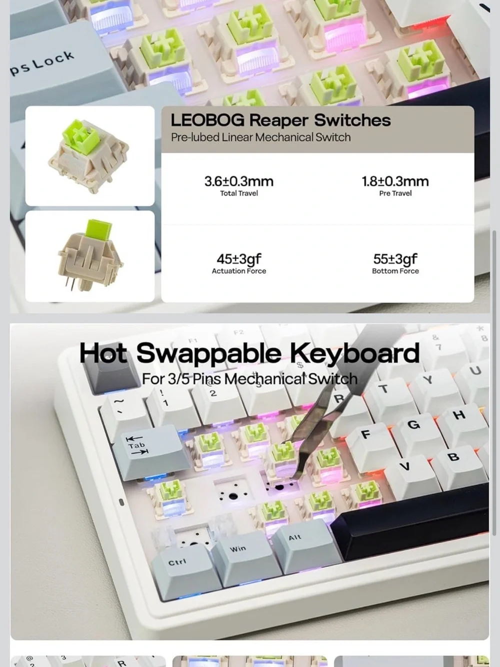 EPOMAKER x AULA F75 mechanical keyboard - Creamy sound, RGB, Hot-Swappable